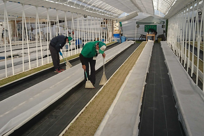 ANZENファームの写真01