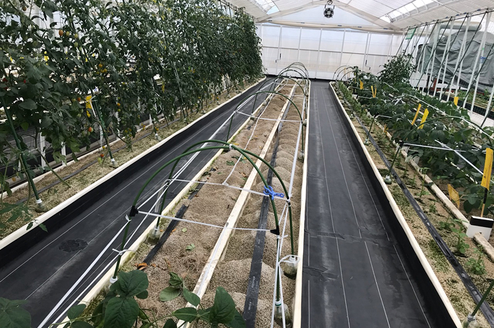 ANZENファームの写真02