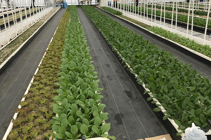 ANZENファームの写真04