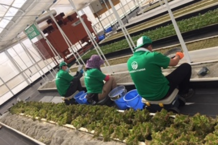 ANZENファームの写真05