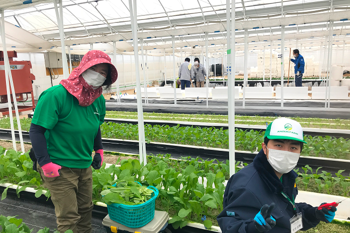 ANZENファームの写真06